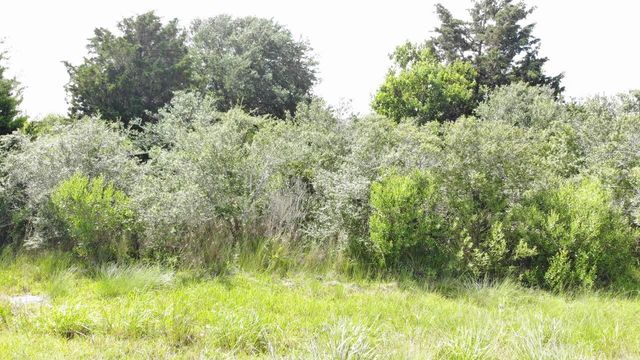 O Schlitz, Hitchcock, TX 77563