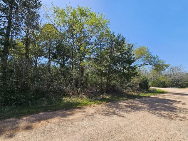 0 Park View Dr, Hempstead, TX 77445