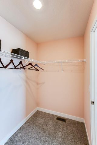 3923 Carver Path, Chaska, MN 55318