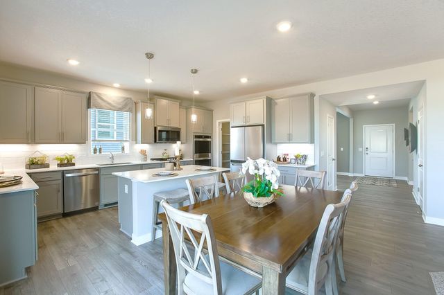 3923 Carver Path, Chaska, MN 55318