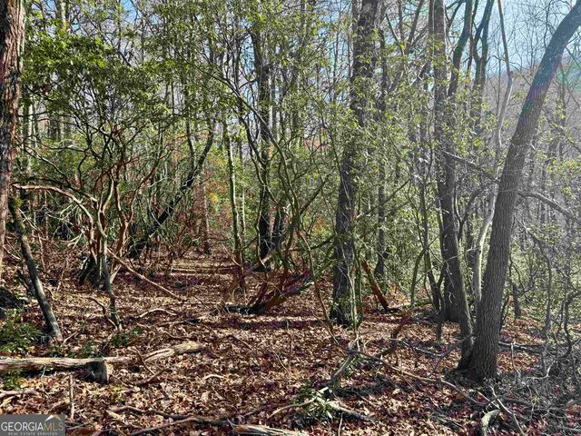 546 Matterhorn Drive, Sautee Nacoochee, GA 30571