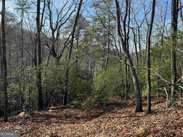 546 Matterhorn Drive, Sautee Nacoochee, GA 30571