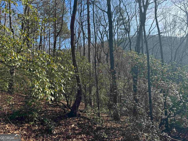 546 Matterhorn Drive, Sautee Nacoochee, GA 30571