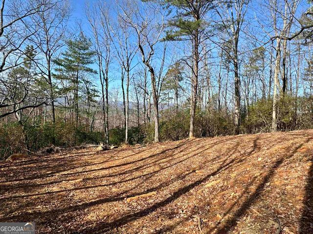 546 Matterhorn Drive, Sautee Nacoochee, GA 30571