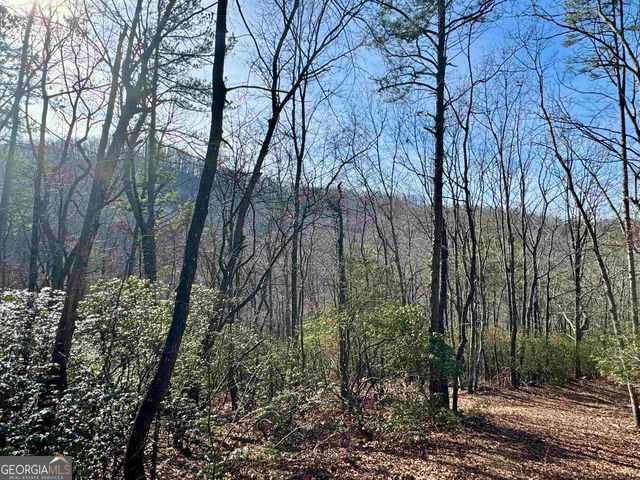 546 Matterhorn Drive, Sautee Nacoochee, GA 30571