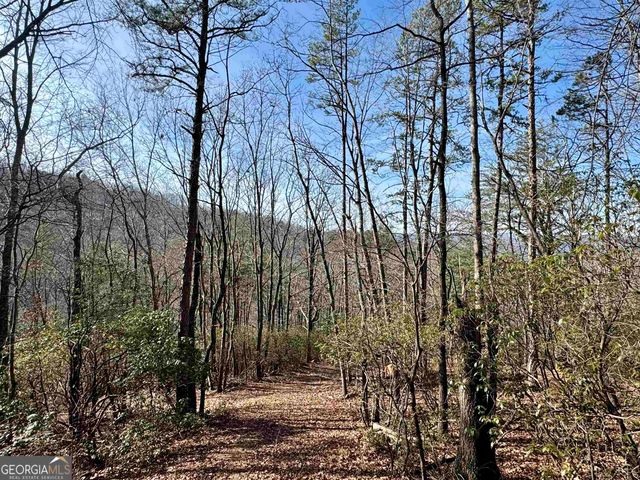 546 Matterhorn Drive, Sautee Nacoochee, GA 30571