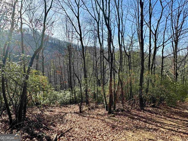 546 Matterhorn Drive, Sautee Nacoochee, GA 30571