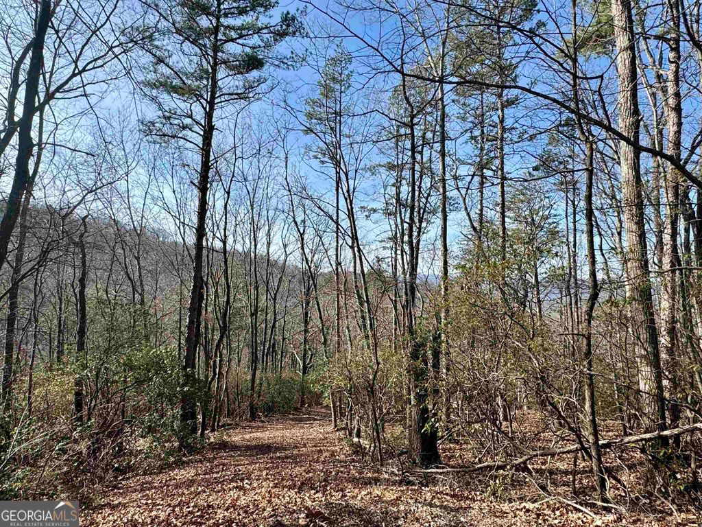 546 Matterhorn Drive, Sautee Nacoochee, GA 30571