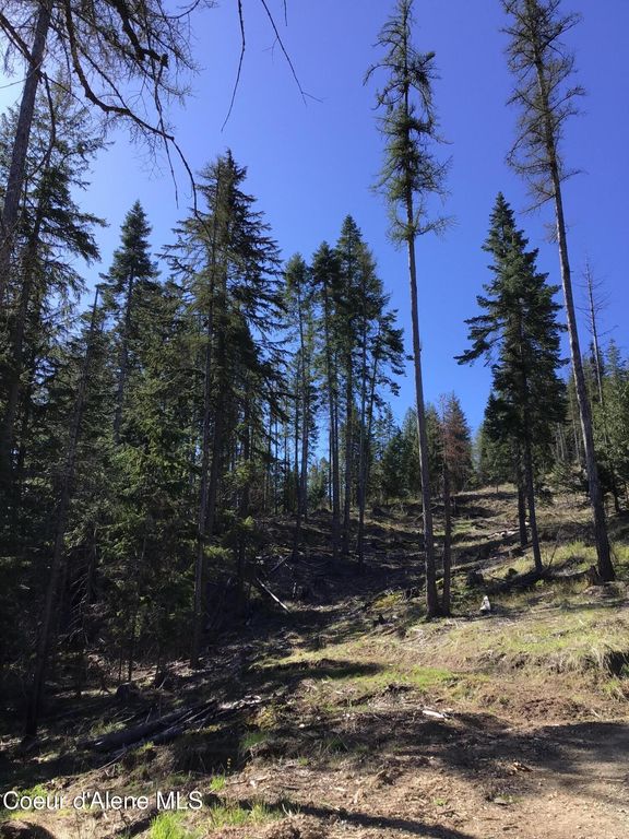 Highway 97, Harrison, ID 83833 photo 4