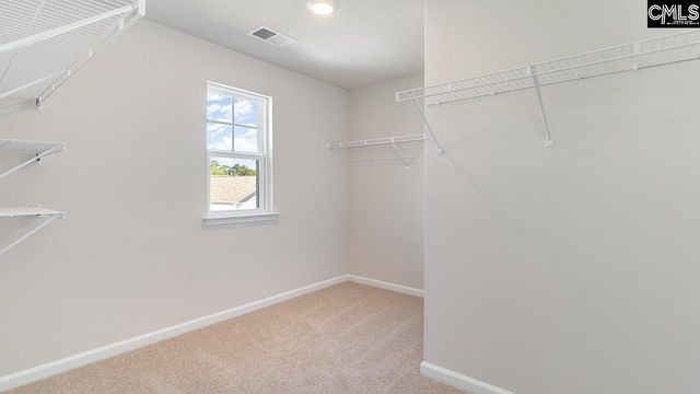 257 Blue Valley Court, Columbia, SC 29203