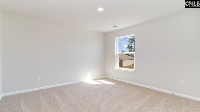 257 Blue Valley Court, Columbia, SC 29203
