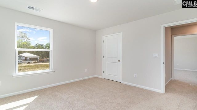 257 Blue Valley Court, Columbia, SC 29203
