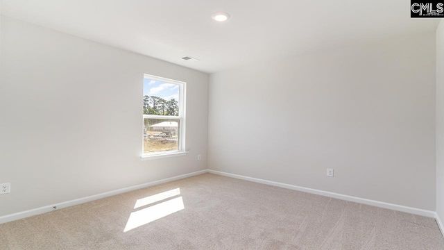 257 Blue Valley Court, Columbia, SC 29203