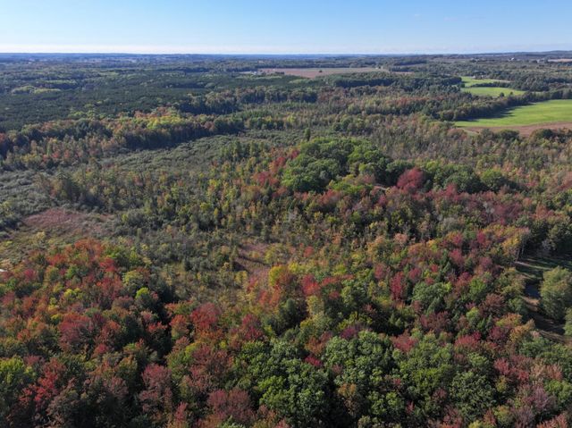 2697 N 176th Avenue, Walkerville, MI 49459