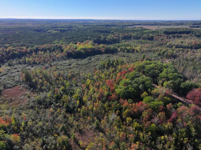 2697 N 176th Avenue, Walkerville, MI 49459