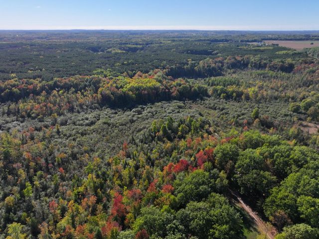 2697 N 176th Avenue, Walkerville, MI 49459