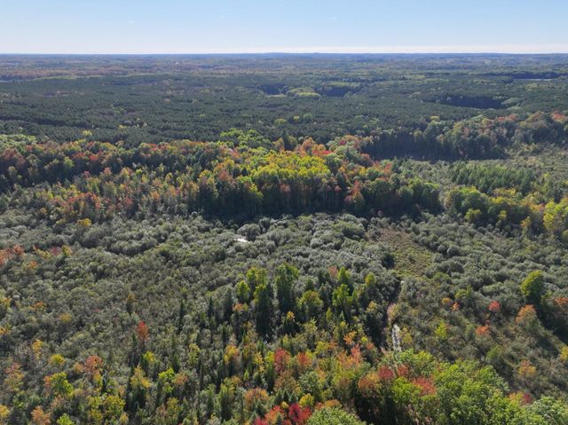 2697 N 176th Avenue, Walkerville, MI 49459