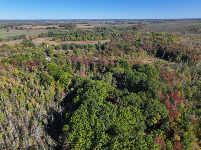 2697 N 176th Avenue, Walkerville, MI 49459