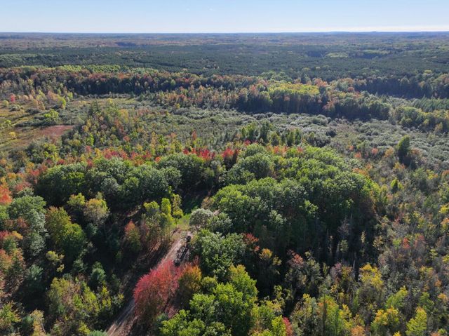 2697 N 176th Avenue, Walkerville, MI 49459