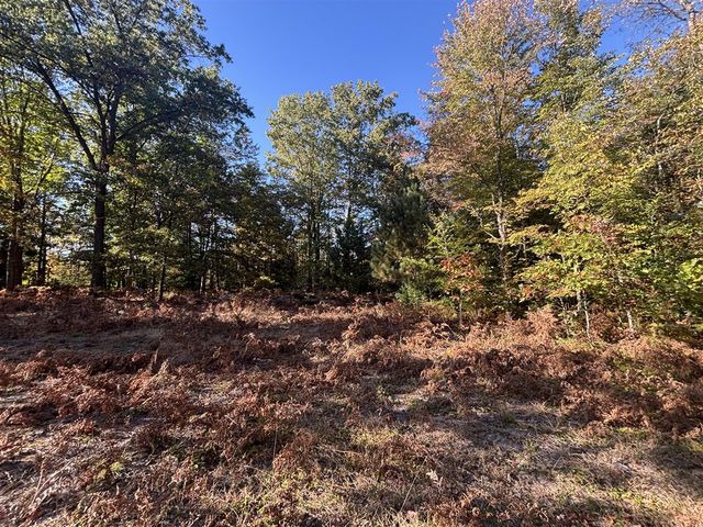 2697 N 176th Avenue, Walkerville, MI 49459