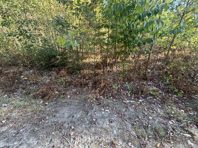 2697 N 176th Avenue, Walkerville, MI 49459