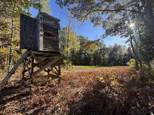 2697 N 176th Avenue, Walkerville, MI 49459