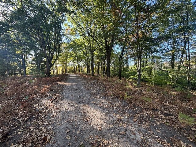 2697 N 176th Avenue, Walkerville, MI 49459