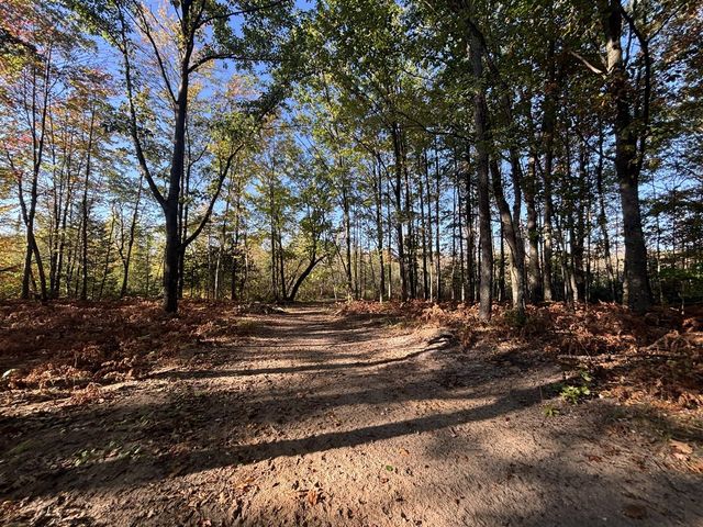 2697 N 176th Avenue, Walkerville, MI 49459