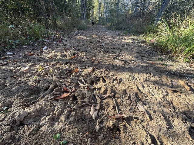 2697 N 176th Avenue, Walkerville, MI 49459