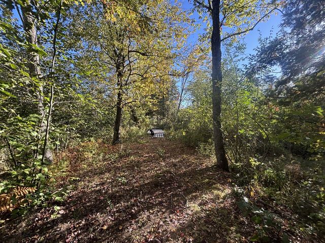 2697 N 176th Avenue, Walkerville, MI 49459