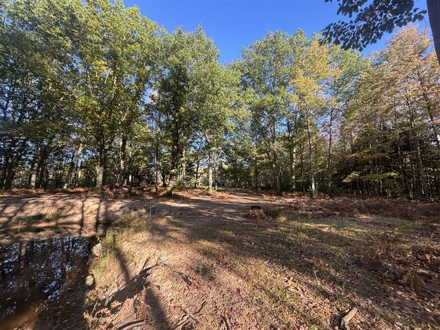 2697 N 176th Avenue, Walkerville, MI 49459