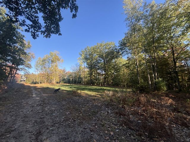 2697 N 176th Avenue, Walkerville, MI 49459