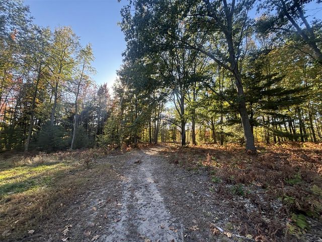 2697 N 176th Avenue, Walkerville, MI 49459