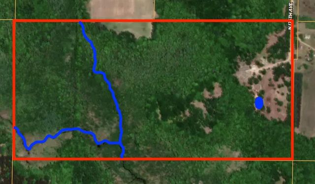 2697 N 176th Avenue, Walkerville, MI 49459