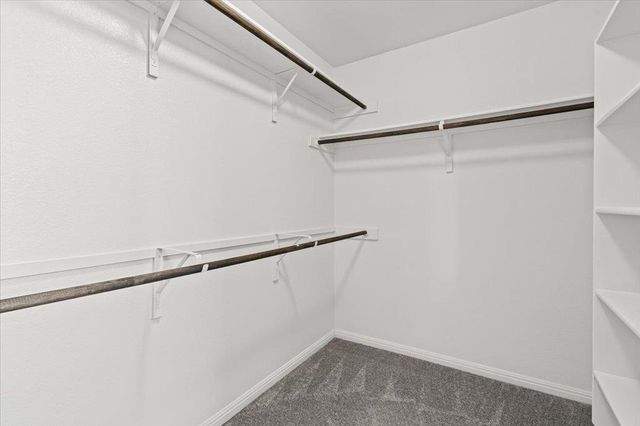 6313 Mary Lewis DR, Austin, TX 78747