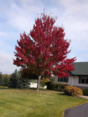 30835 141st Street NW, Princeton, MN 55371