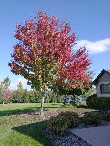 30835 141st Street NW, Princeton, MN 55371