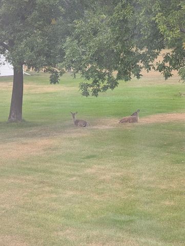 30835 141st Street NW, Princeton, MN 55371