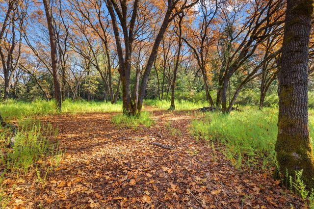 15385 Neils Rd, Auburn, CA 95603