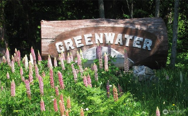 11912 Elk Trails Drive E, Greenwater, WA 98022