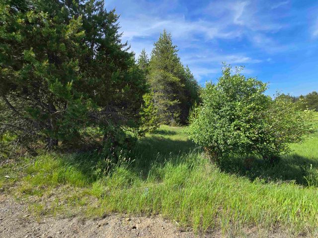 2020 Westside Calispell - Track A Rd, Usk, WA 99180