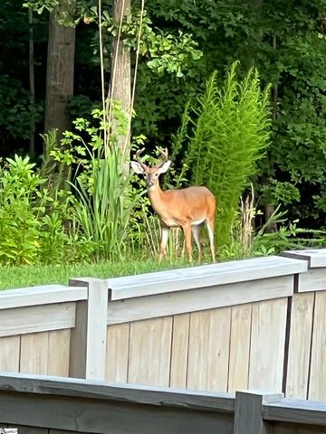 5 Chestnut Hill Place, Simpsonville, SC 29680