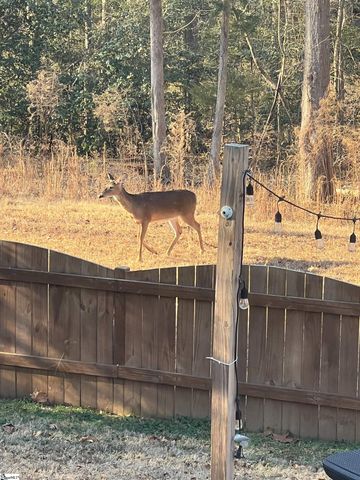 5 Chestnut Hill Place, Simpsonville, SC 29680