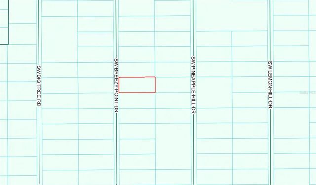 TBD SW BREEZY POINT DRIVE, Dunnellon, FL 34431