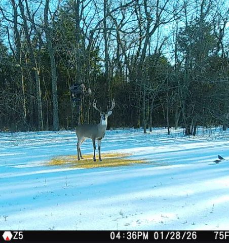 1151 CR 24900 Road, Roxton, TX 75477