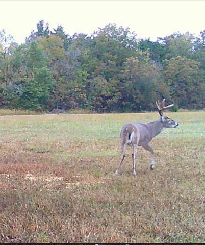 1151 CR 24900 Road, Roxton, TX 75477