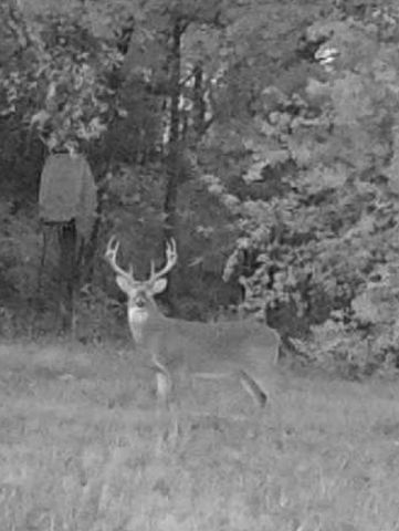 1151 CR 24900 Road, Roxton, TX 75477