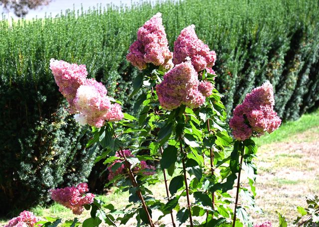 124 Holly Hill Drive, Montville, CT 06382