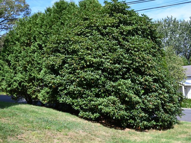 124 Holly Hill Drive, Montville, CT 06382