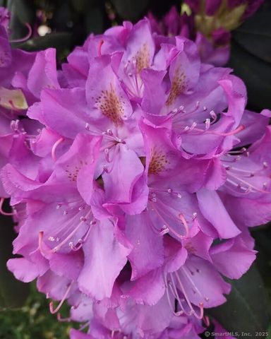 124 Holly Hill Drive, Montville, CT 06382